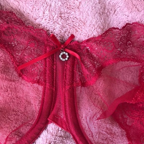 Divine Full Coverage lace Bra - Picture 4 of 12